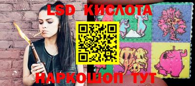 дживик Моздок