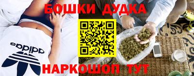 дживик Моздок