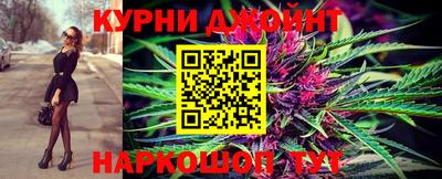 дживик Моздок