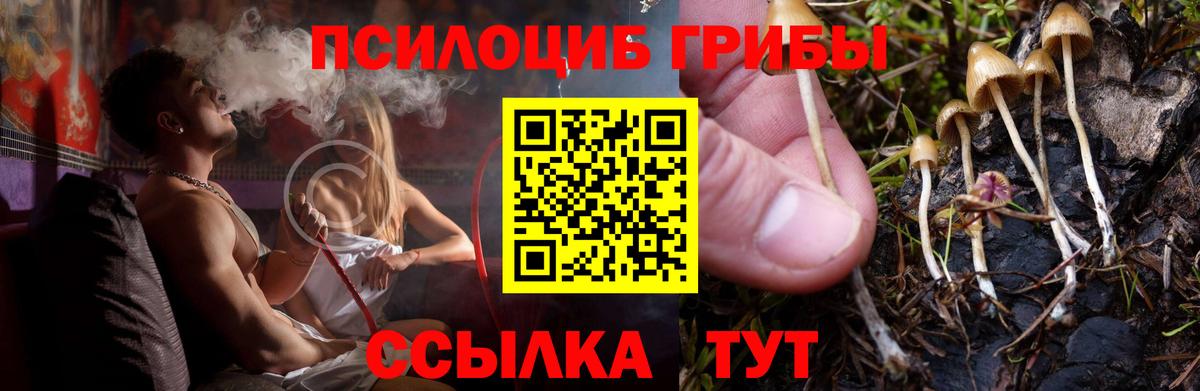 Галлюциногенные грибы Magic Shrooms Волжск